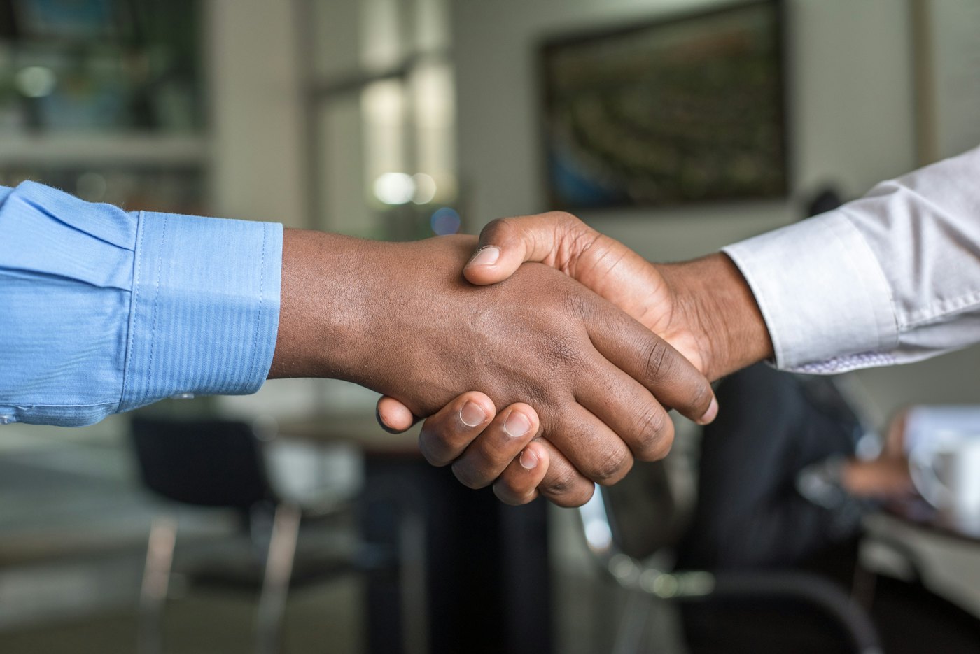 Two professionals shaking hands